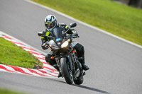 Oulton-Park-21st-March-2020;PJ-Motorsport-Photography-2020;anglesey;brands-hatch;cadwell-park;croft;donington-park;enduro-digital-images;event-digital-images;eventdigitalimages;mallory;no-limits;oulton-park;peter-wileman-photography;racing-digital-images;silverstone;snetterton;trackday-digital-images;trackday-photos;vmcc-banbury-run;welsh-2-day-enduro
